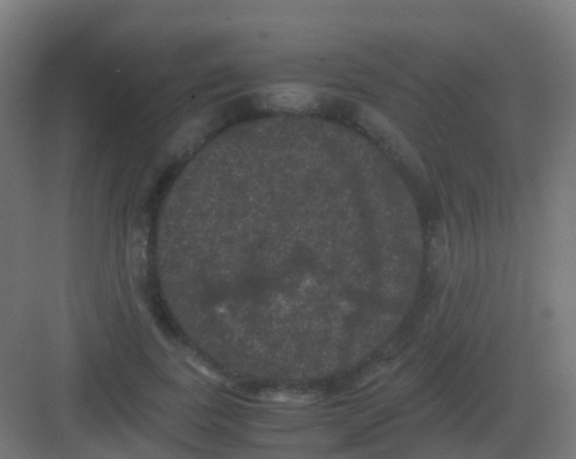 X0000081330739200702082201