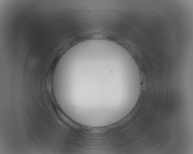 X0000081330740200702082201