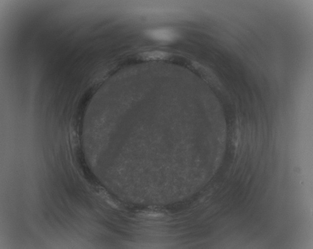 X0000081330743200702082201