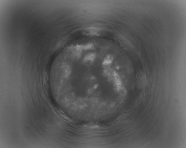 X0000081330747200702082202