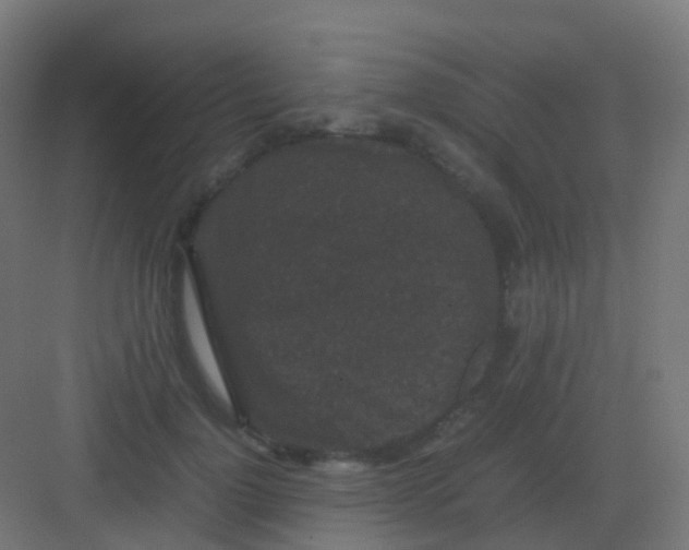 X0000081330748200702082202