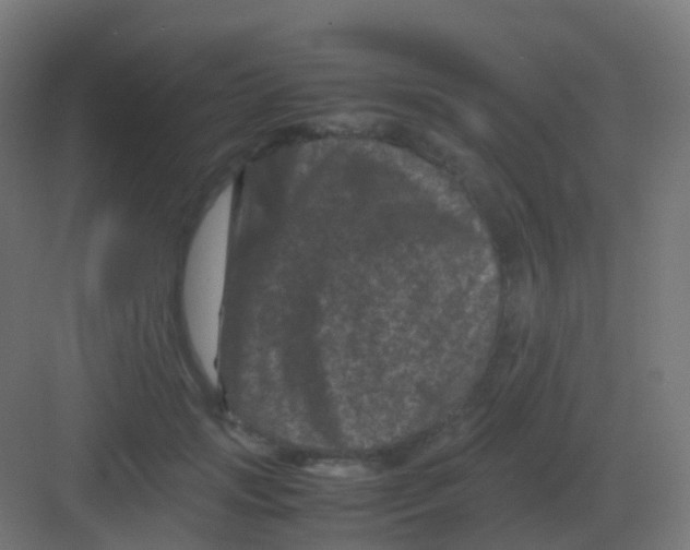 X0000081330749200702082202