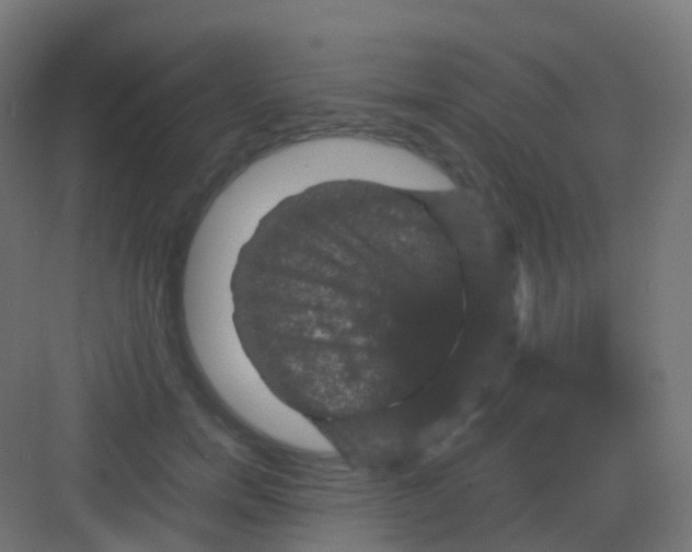 X0000081330750200702082202