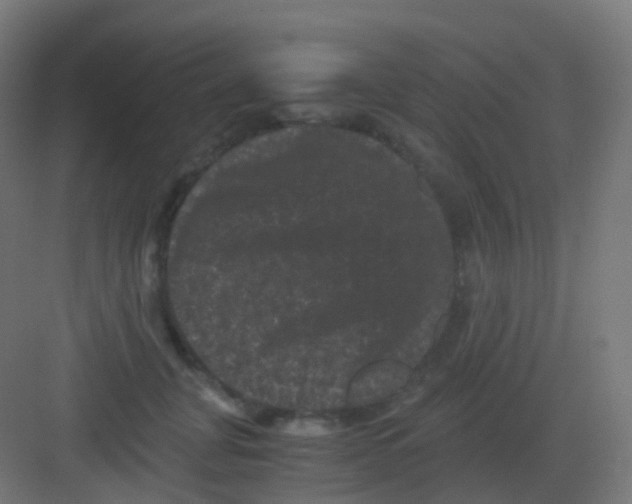 X0000081330751200702082202