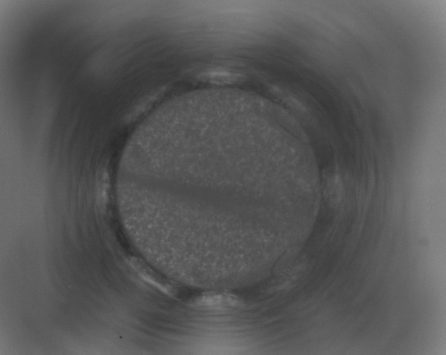 X0000081330752200702082202