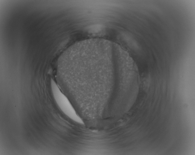 X0000081330756200702082202