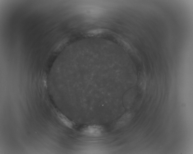 X0000081330758200702082202