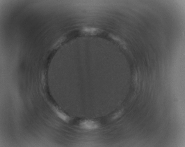 X0000081330759200702082202