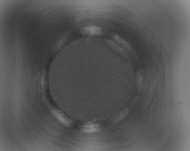 X0000081330760200702082202