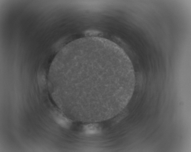 X0000081330761200702082202