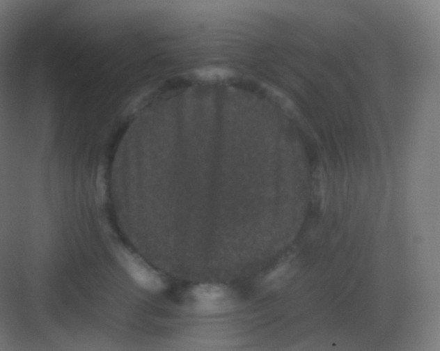 X0000081330762200702082202