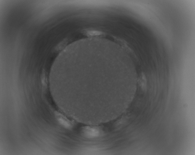 X0000081330763200702082202