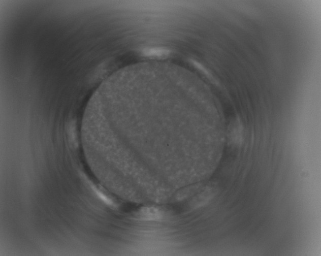 X0000081330764200702082202