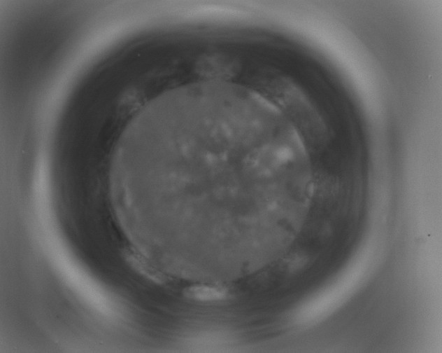 X0000081330765200702082202