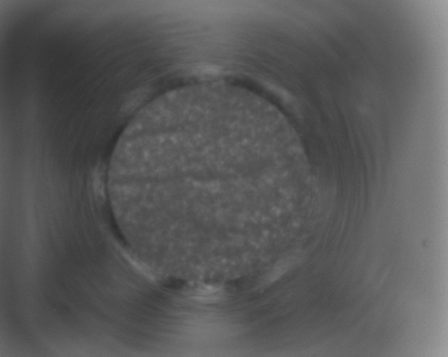 X0000081330768200702082202