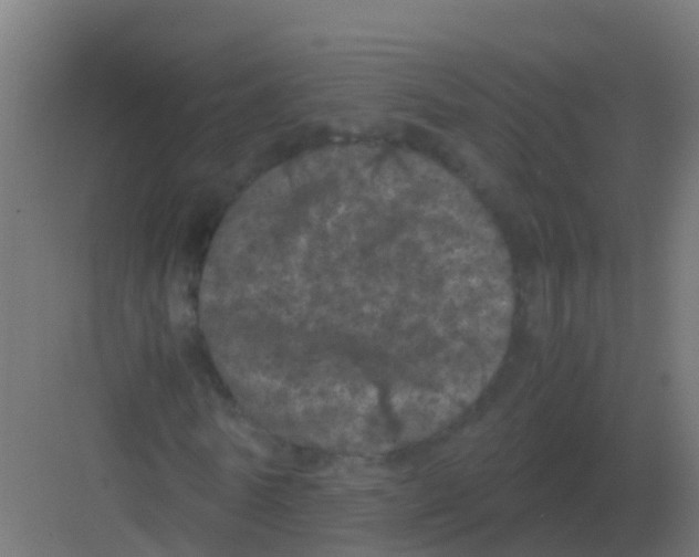 X0000081330770200702082201