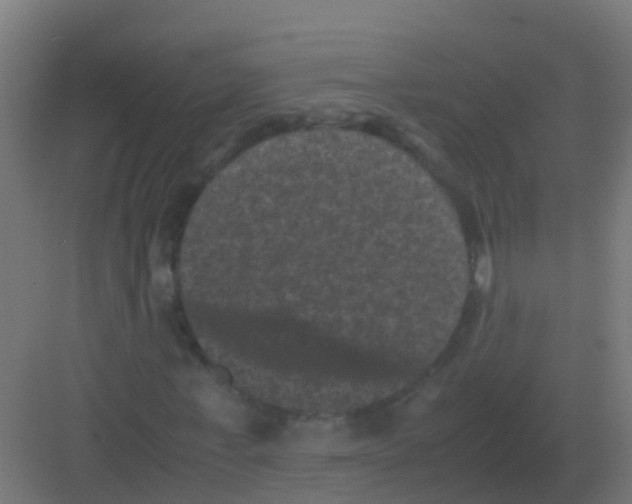 X0000081330771200702082201