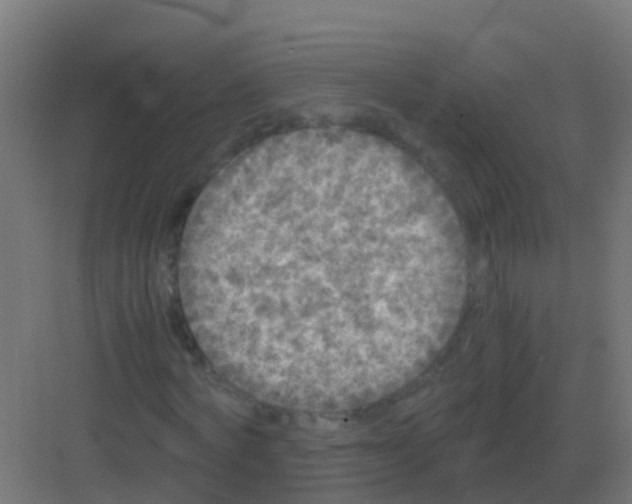 X0000081330772200702082201