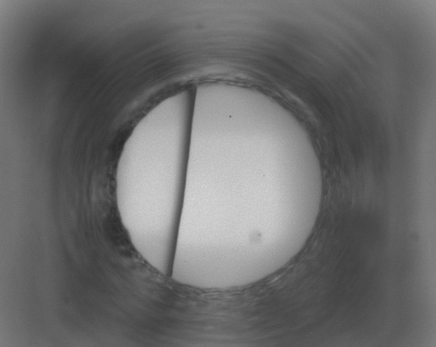 X0000081330776200702082201