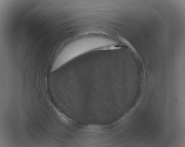 X0000081330777200702082201