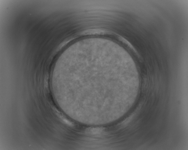 X0000081330778200702082201