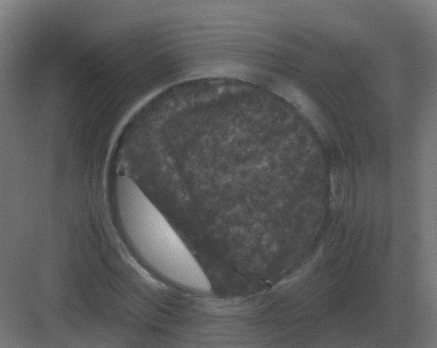 X0000081330780200702082201