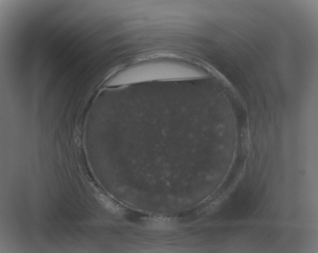 X0000081330785200702082201