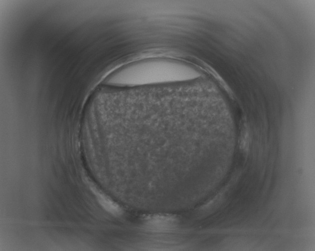 X0000081330786200702082201