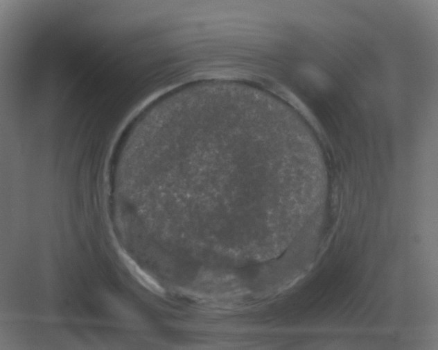 X0000081330787200702082201