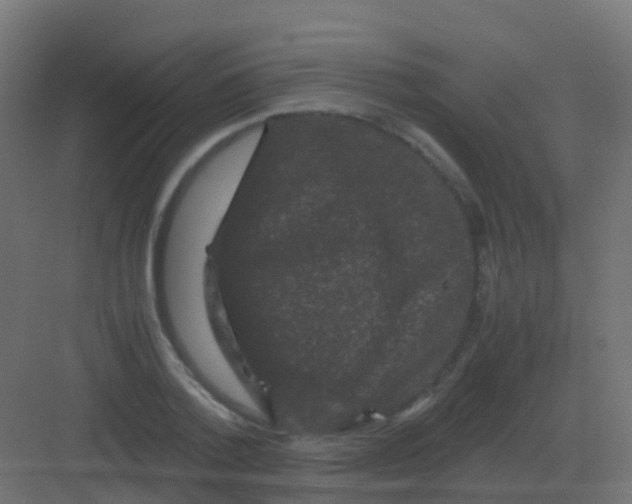 X0000081330788200702082201