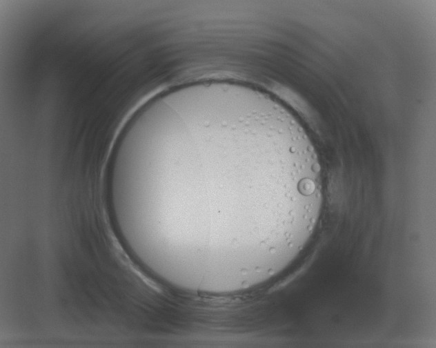 X0000081330790200702082201