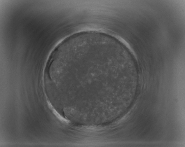 X0000081330791200702082201