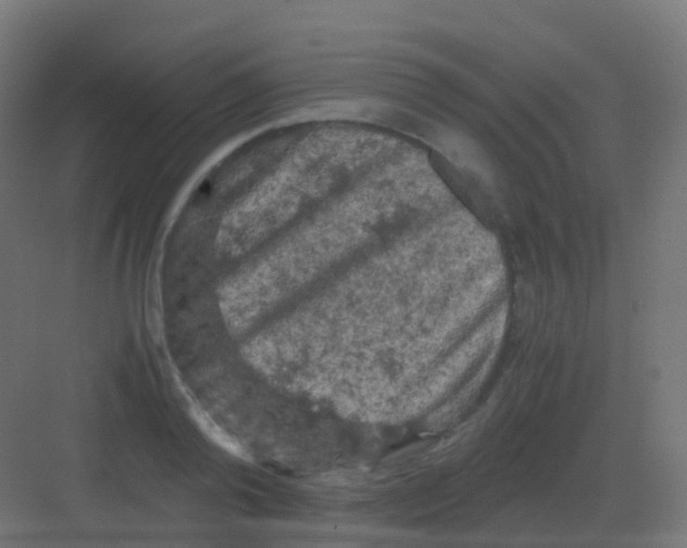 X0000081330792200702082201