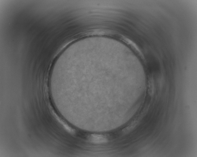 X0000081330794200702082201