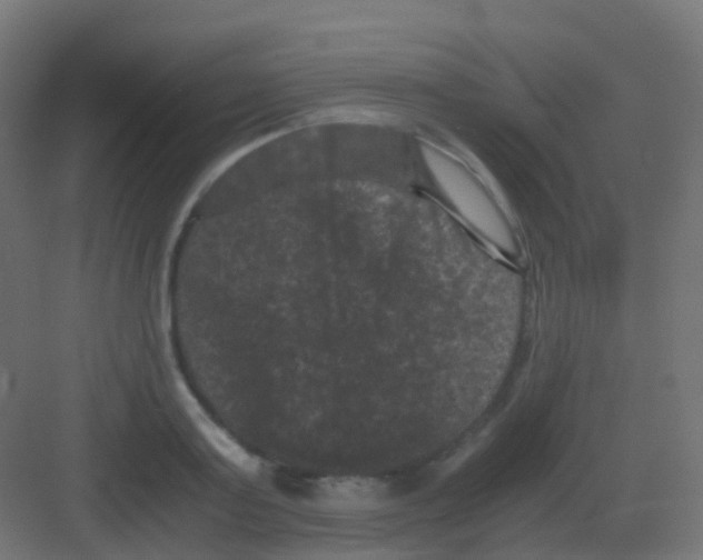 X0000081330795200702082201