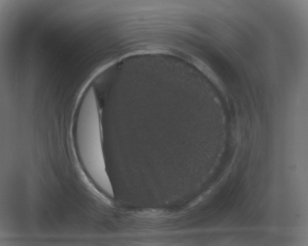 X0000081330797200702082201