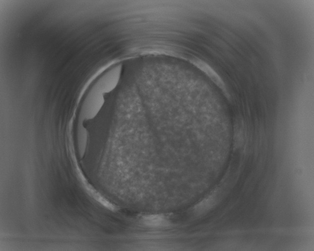 X0000081330798200702082201