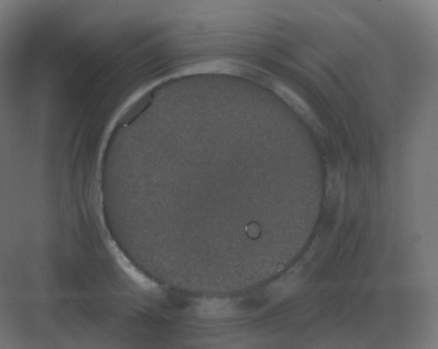 X0000081330800200702082201