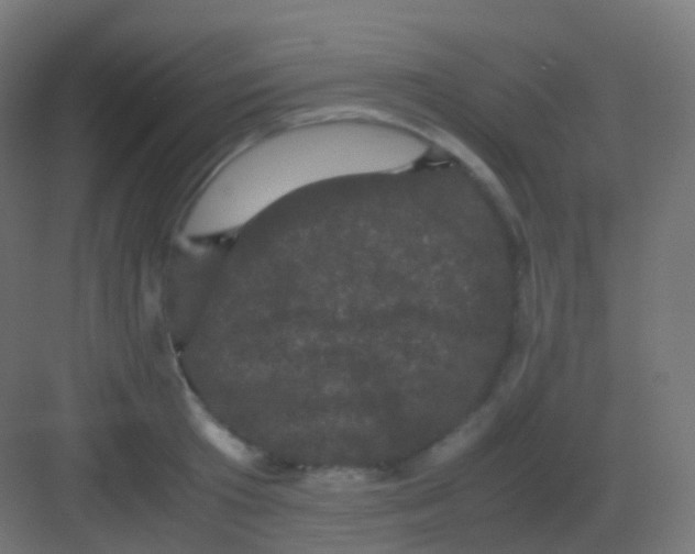 X0000081330801200702082201