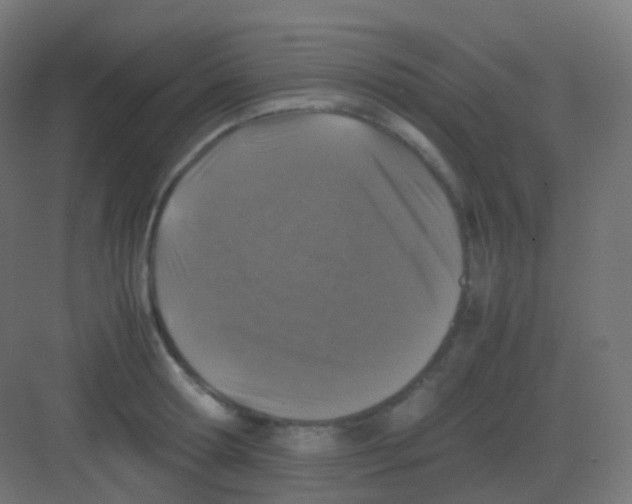 X0000081330802200702082201