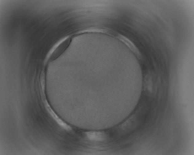 X0000081330804200702082201