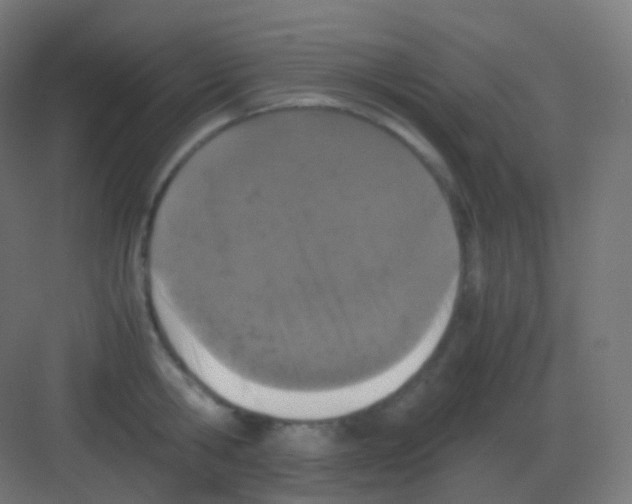 X0000081330806200702082200