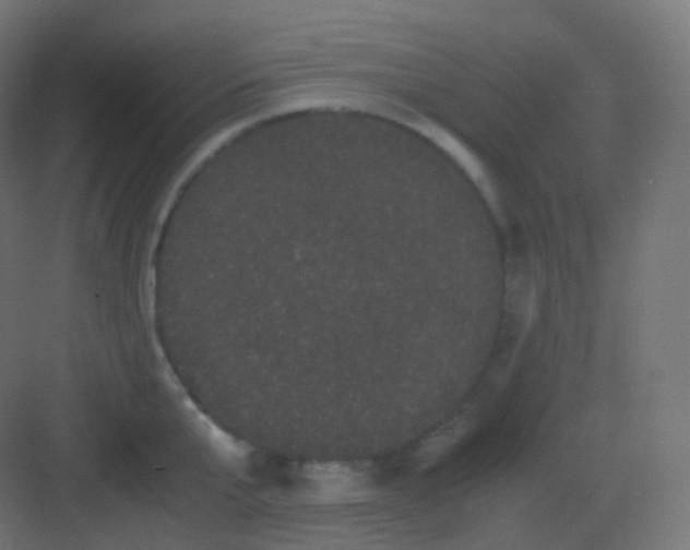 X0000081330807200702082200