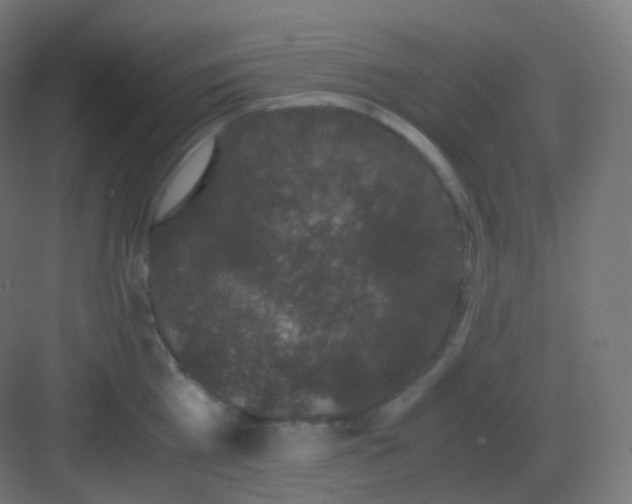 X0000081330809200702082200