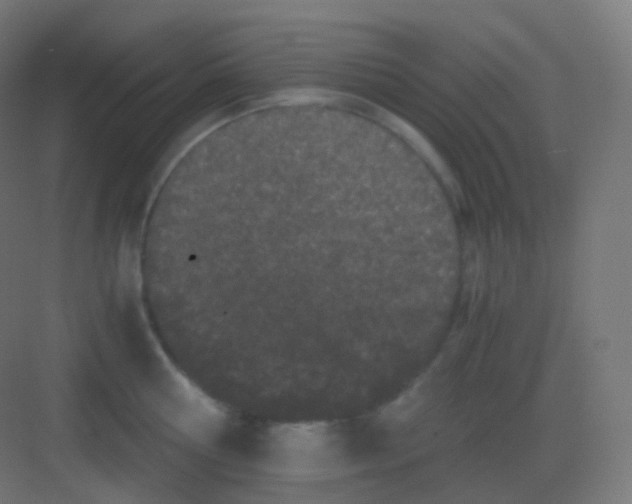 X0000081330810200702082200