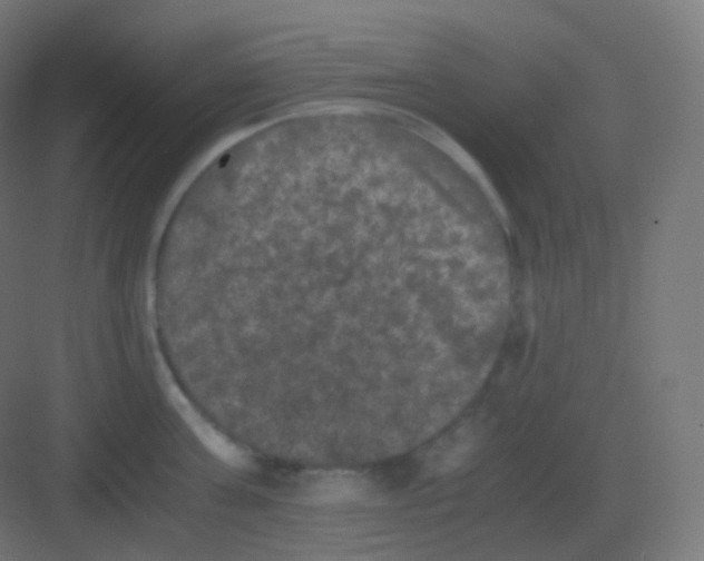 X0000081330811200702082200