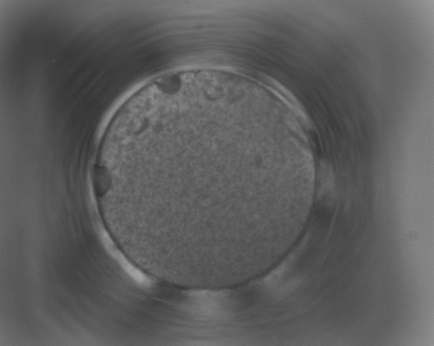 X0000081330812200702082200