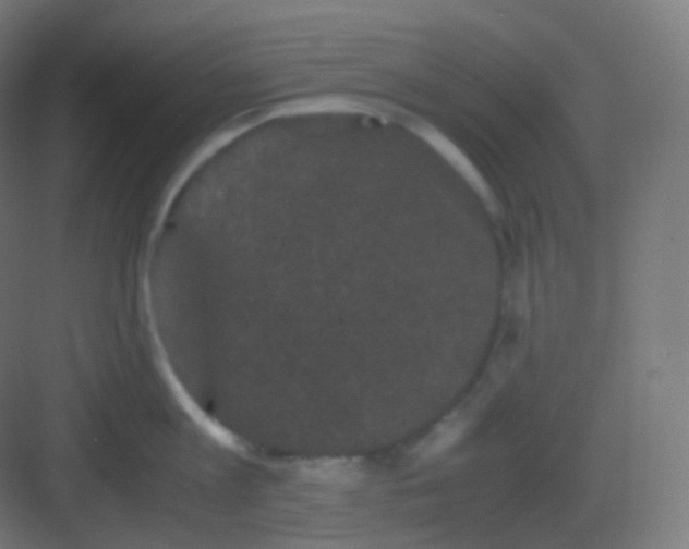 X0000081330813200702082200