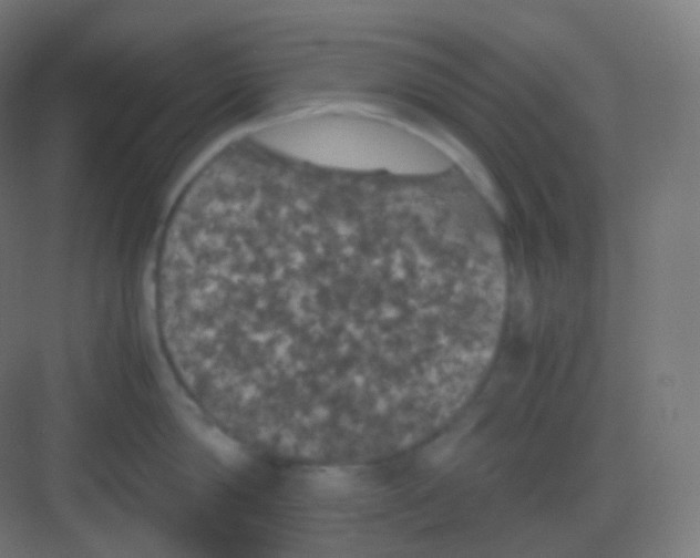 X0000081330814200702082200