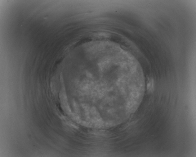 X0000081330819200702082200